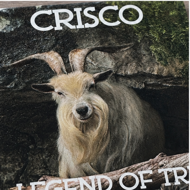 Close-up detail of the UV-printed Crisco Legend of TRL porcelain magnet.