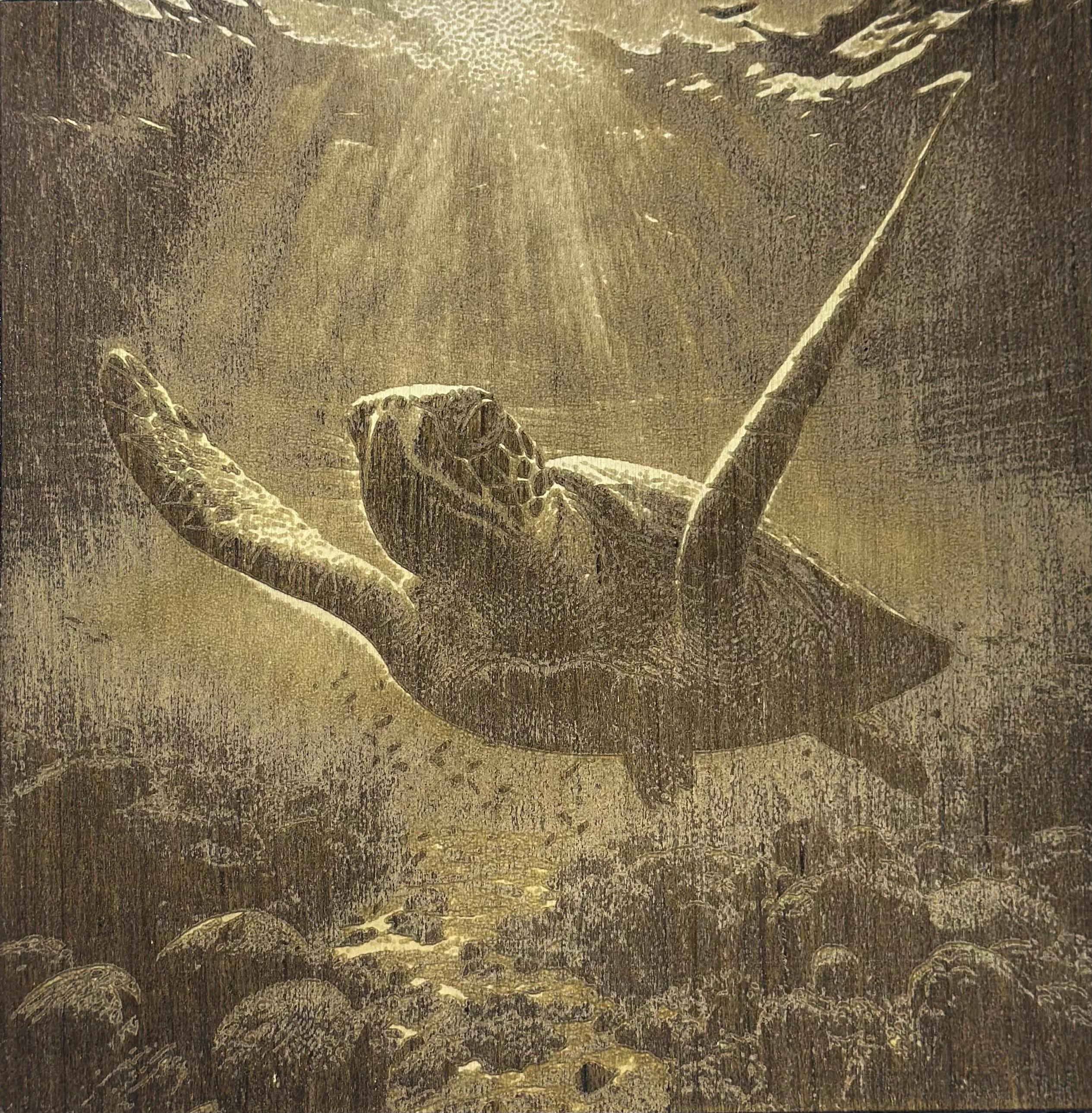 3D Sea Turtle Engraving
