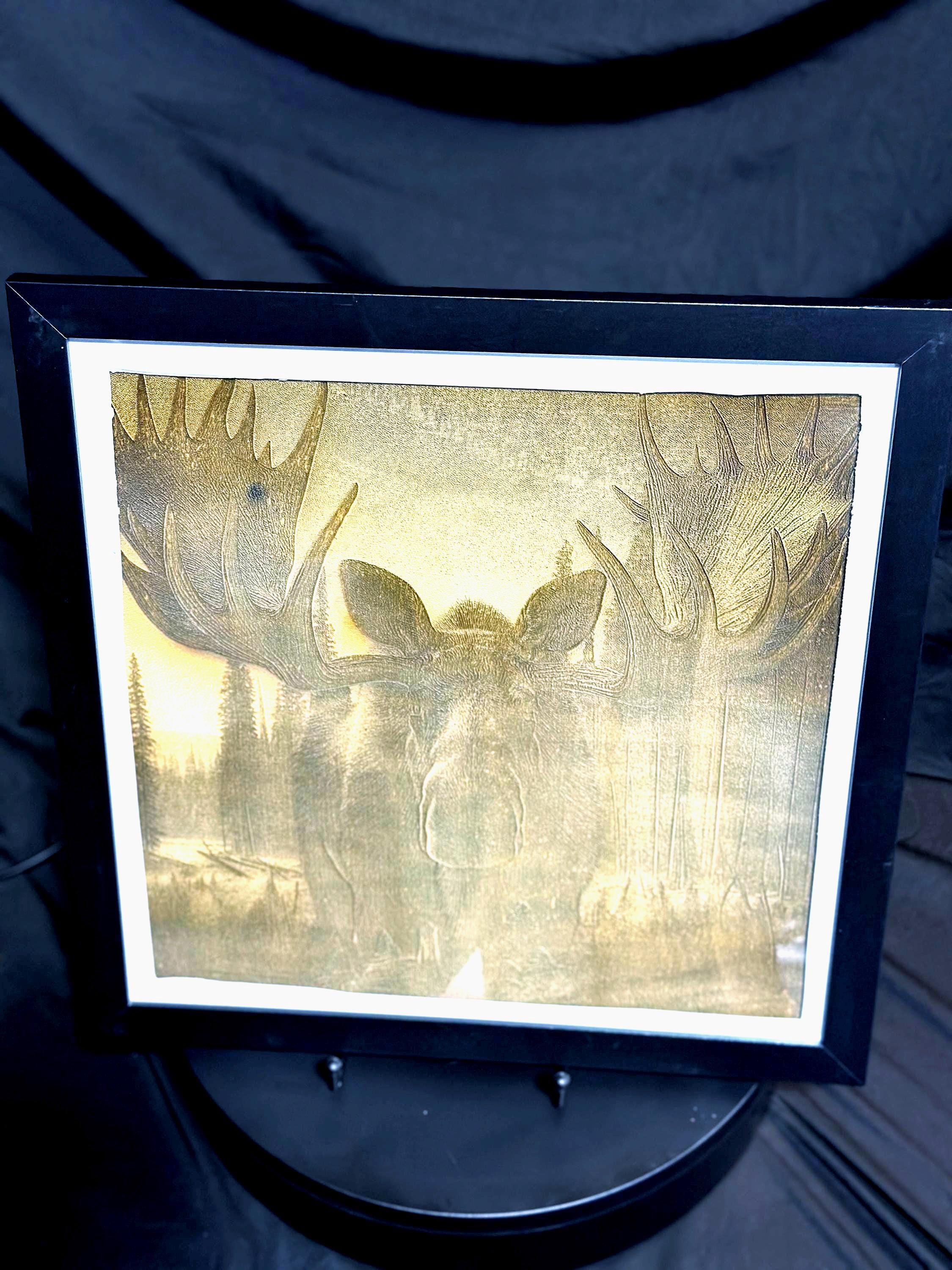 Framed 3D Moose Engraving