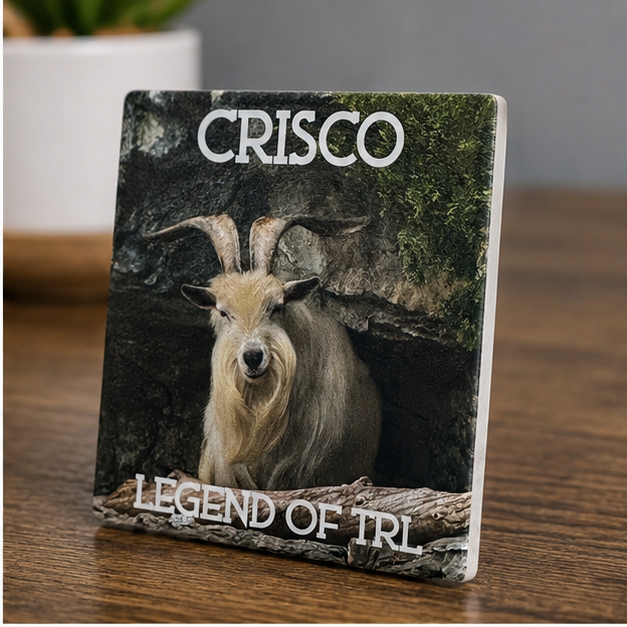 Angled view showing the thickness of the Crisco porcelain magnet.