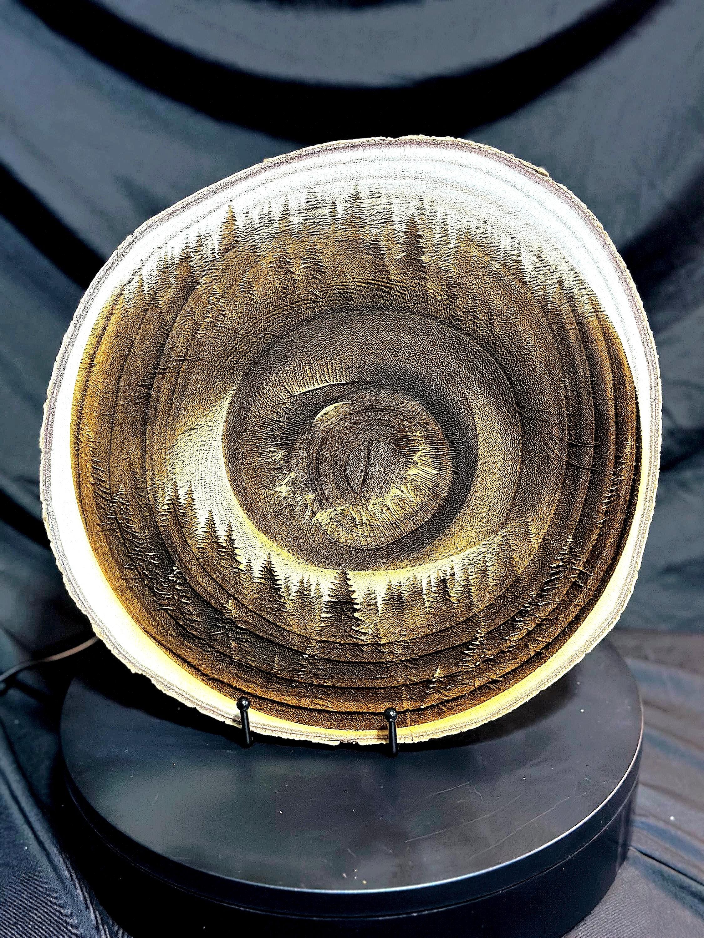 Engraved Forest Through the Eye