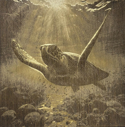 3D Sea Turtle Engraving
