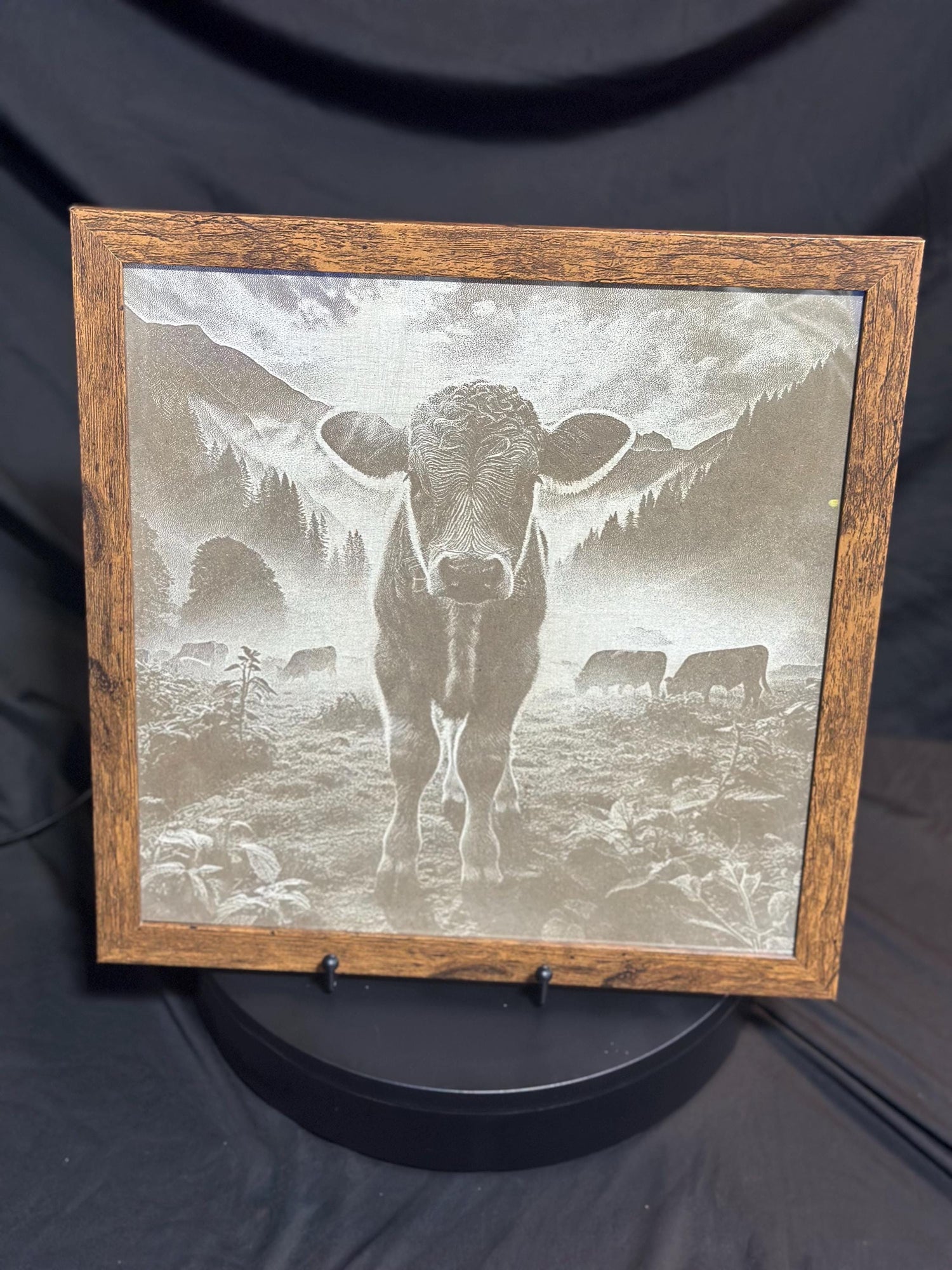 Framed 3D Cow Engraving