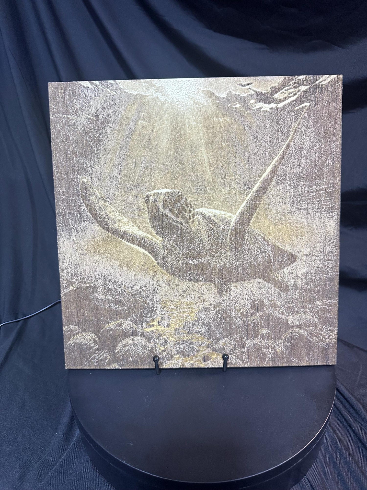 3D Sea Turtle Engraving