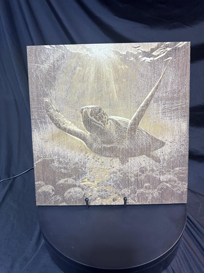 3D Sea Turtle Engraving