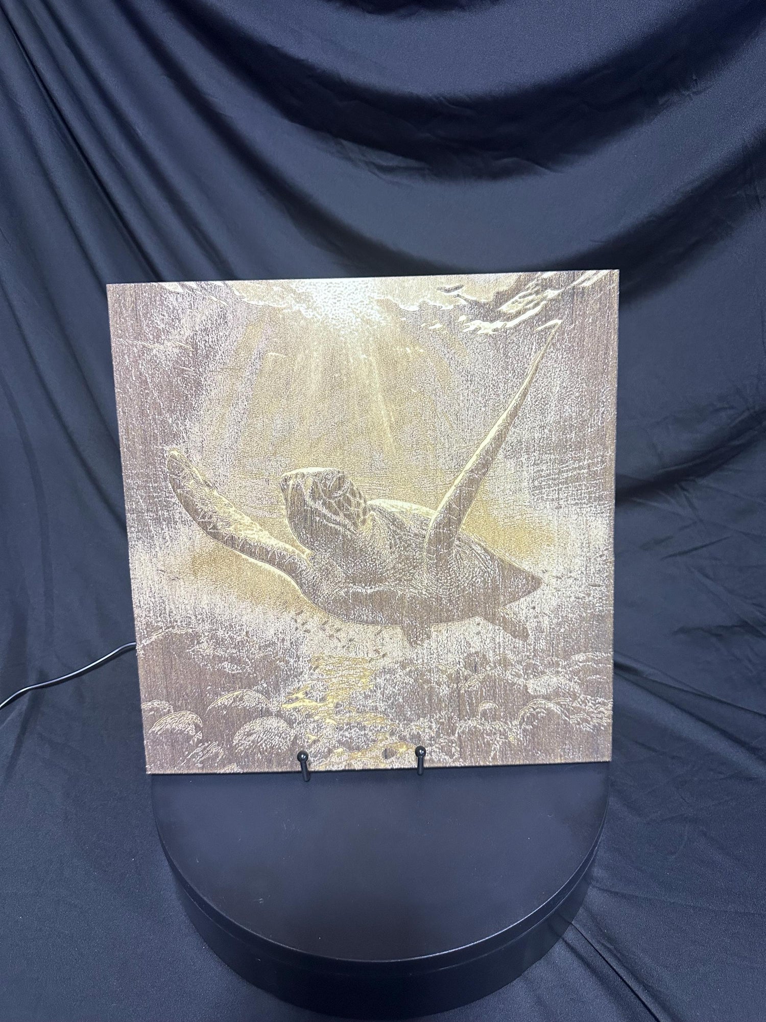 3D Sea Turtle Engraving