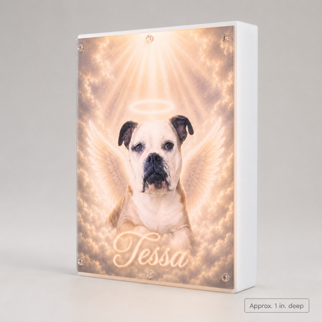 Angled view showing the pet memorial light box is approximately one inch deep with white acrylic sides