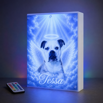 Personalized pet memorial light box with blue RGB illumination and color remote