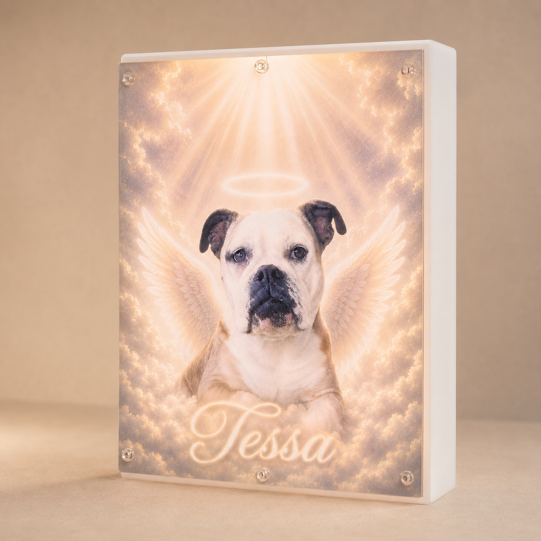 Personalized pet memorial light box with clear frosted acrylic front and white acrylic one-inch-deep enclosure